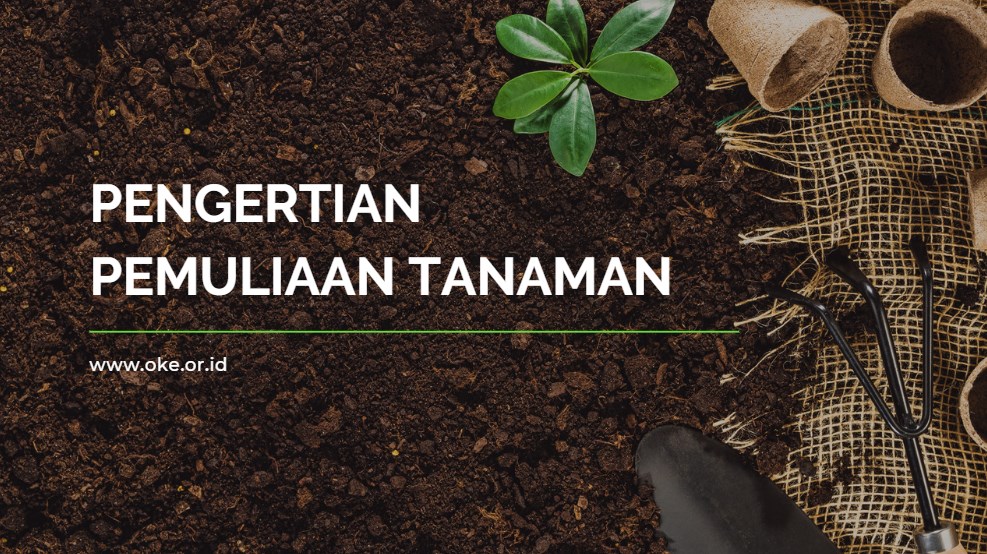 Pengertian Pemuliaan Tanaman